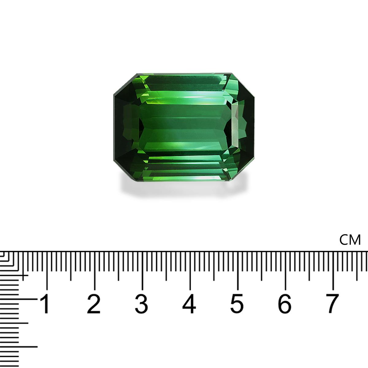 Green Tourmaline 122.28 ct